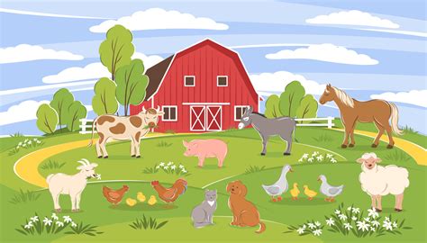 Where To Pickup Your Animals Farming Solidarity